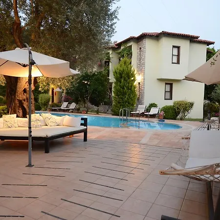 Olive Garden 3*